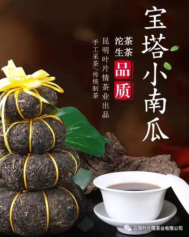 普洱茶知识大全