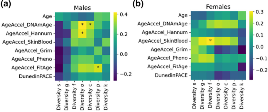 Aging Cell：匈牙利学者发现肠道微生物组的变化和衰老密切相关