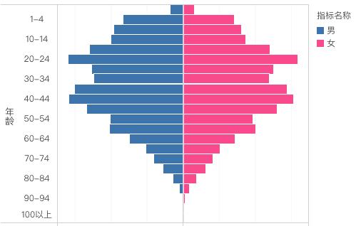 人口金字塔图_人口年龄结构金字塔图的判读(2)