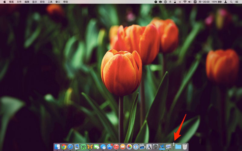 macos dock栏_苹果mac使用技巧
