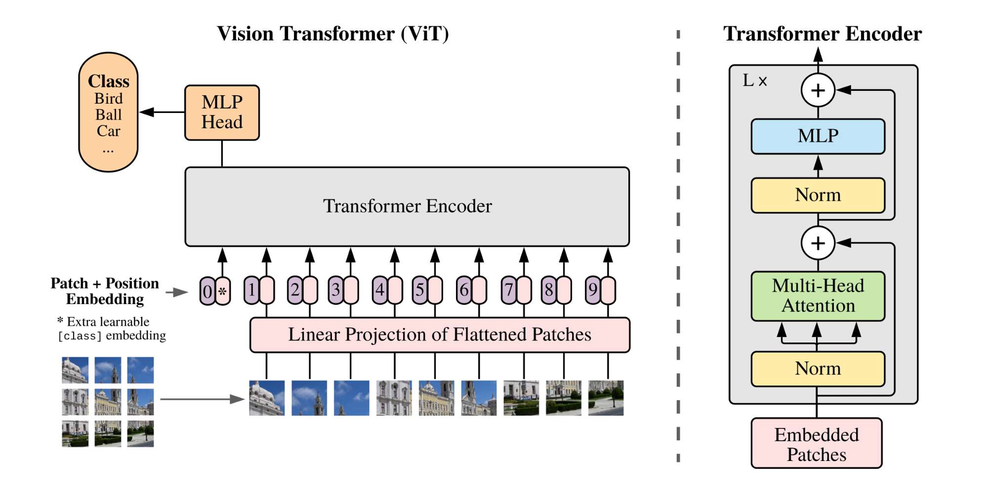 ViT模型架构示意图