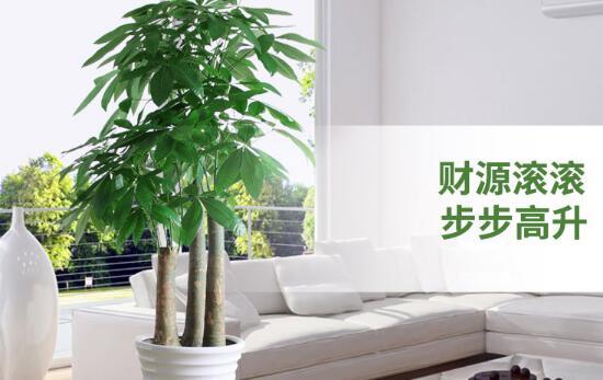 2a9f3ac39bfecdefa918a38048da35ec.png