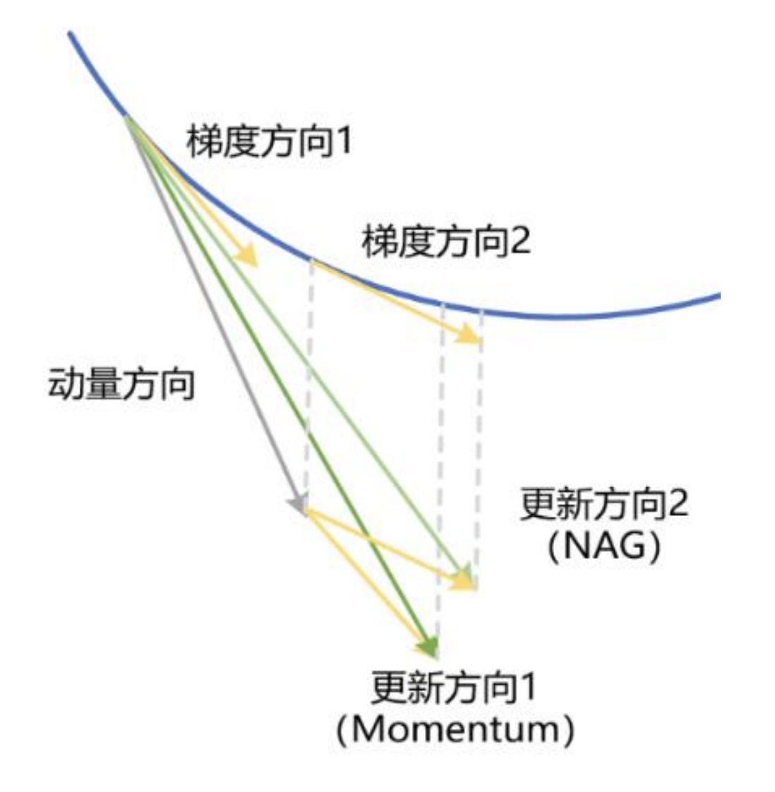 神经网络优化算法