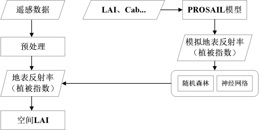 遥感反演叶面积指数 (LAI)