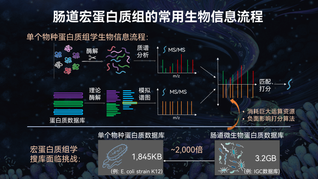 李乐园:读懂微生物王国的故事