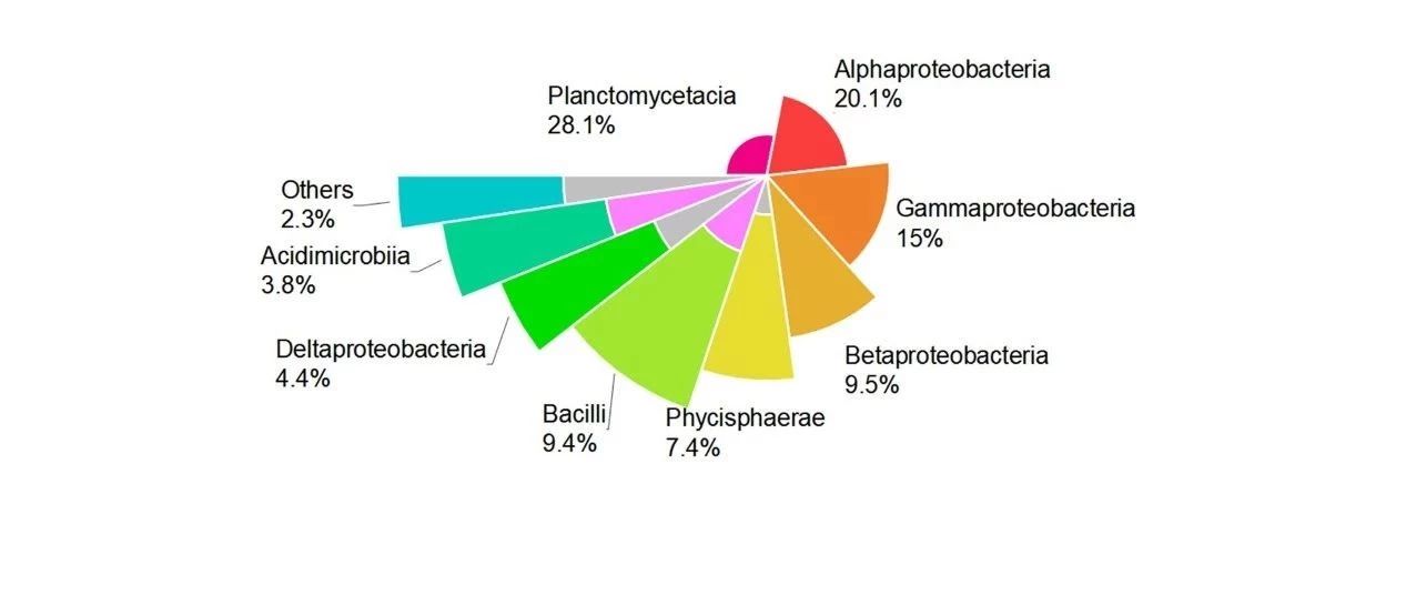 echart饼图设置指引线origin作图教程都已经0202年了你还只会画饼图