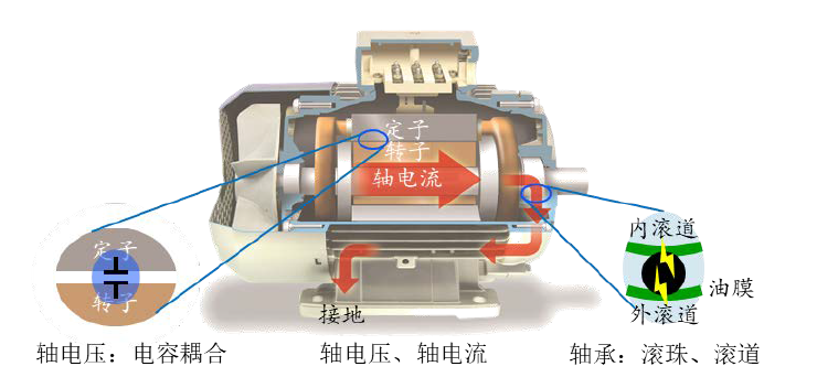 轴电压标准_fluke测电压用错接线端[通俗易懂]