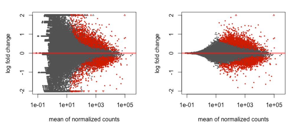 RNA-seq 详细教程：Wald test（10）