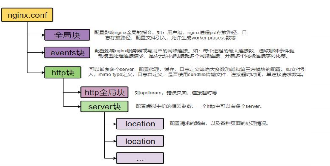 image-20220209220100385