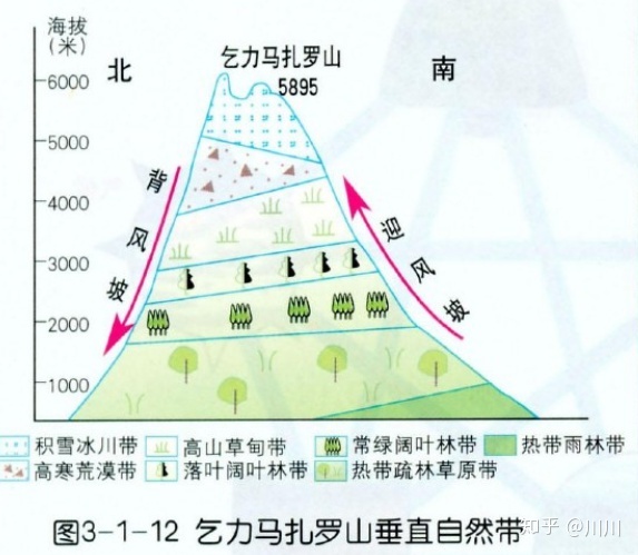 植被带模式图图片