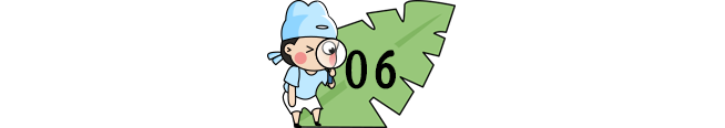 2bfbadf708452fd2a0d3fdc809649598.png