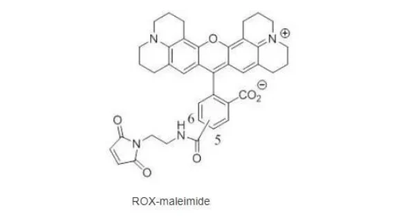 X-Rhodamine maleimide ，ROX 马来酰亚胺，实验室常用的荧光染料