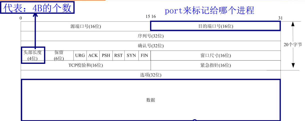 网络编程-报文格式_dmac是多少字节-CSDN博客