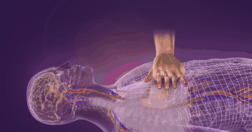 2c6faae1e49c85617aa7f23890b69dfc.gif