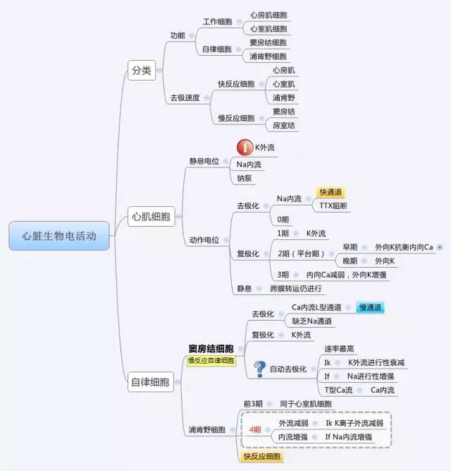 大学物理质点动力学思维导图生理学思维导图