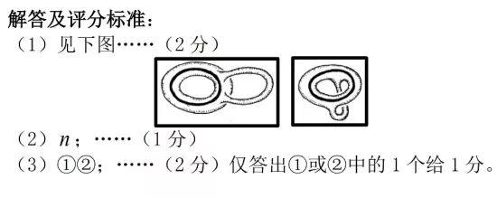 2ca6dd1eba59b553a9066eedc18a8041.png