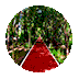 2caf7a486cf4dd134e0a53518bf2a864.gif
