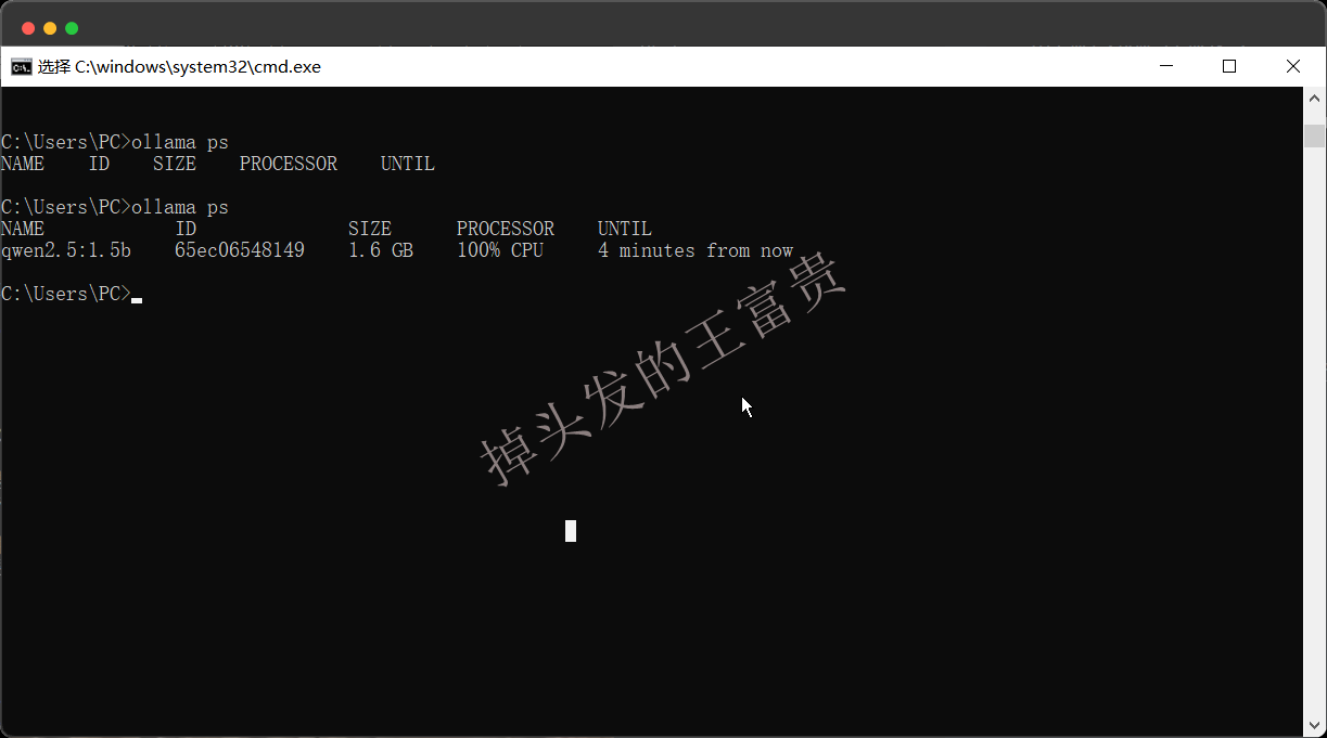 image-20241027171924783