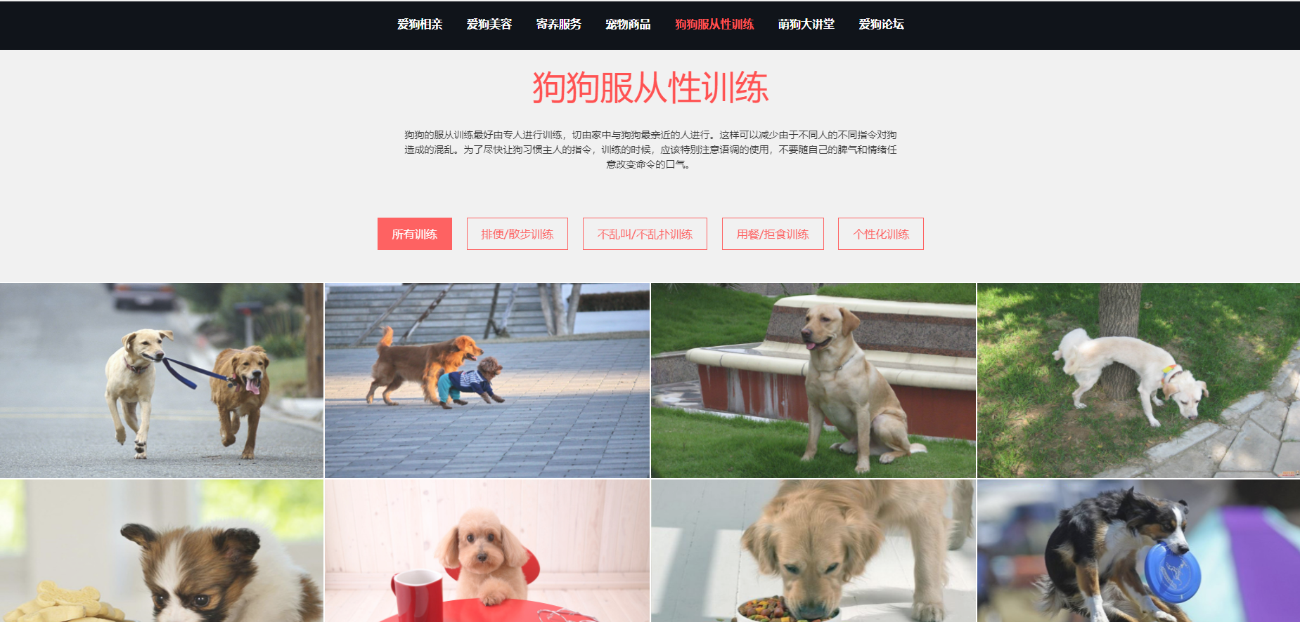 基于HTML5,DIV CSS实现的宠物狗个性化服务网站前端 静态网页毕业设计 web前端毕设