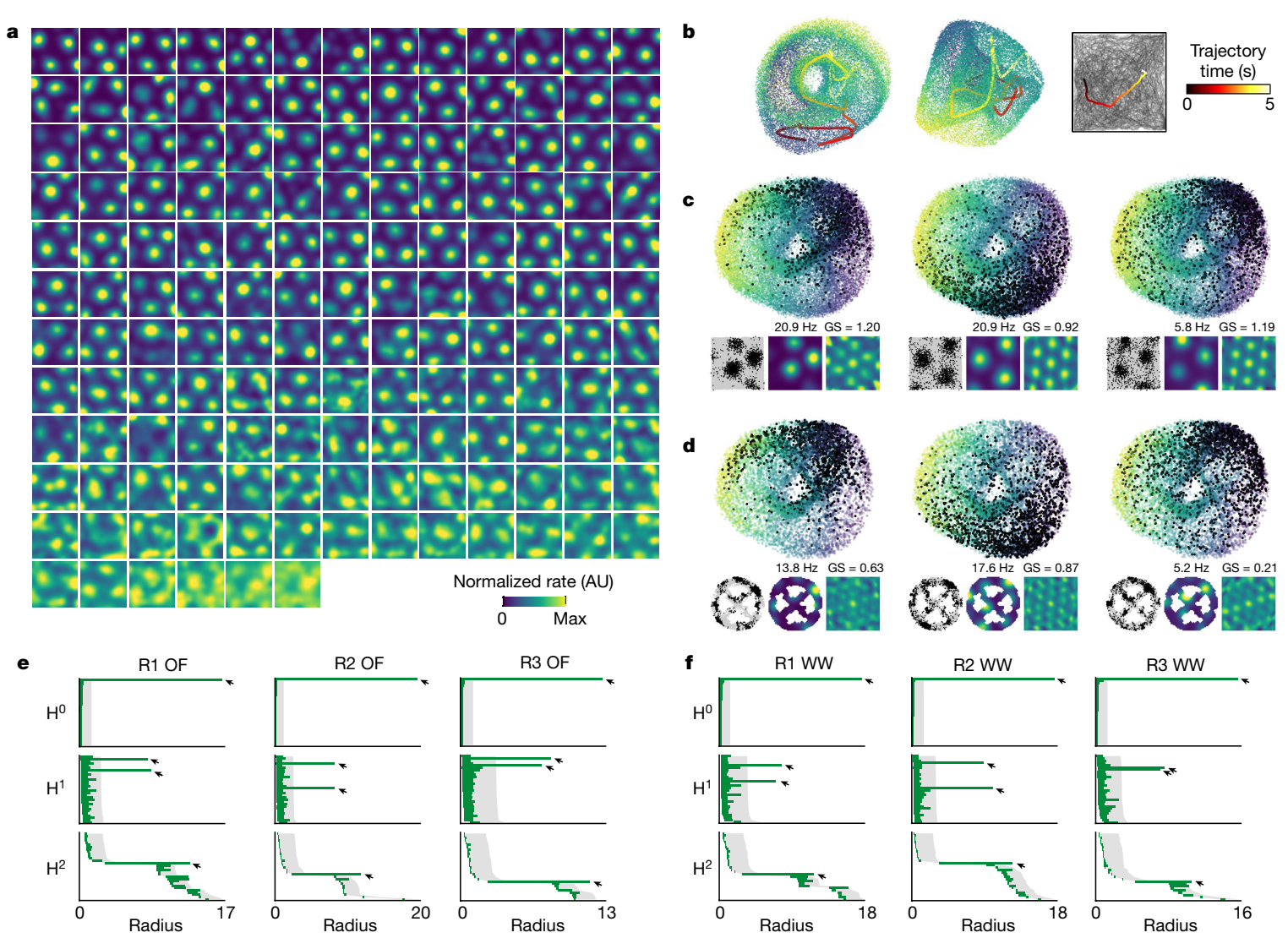 【博士每天一篇论文-实验分析】Toroidal topology of population activity in grid cells