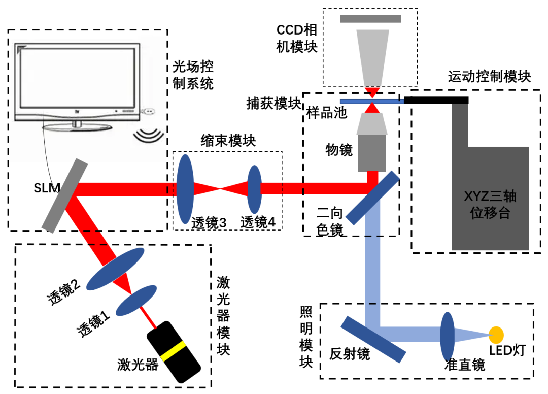 单光束光镊系统&全息光镊系统_光镊fpga-CSDN博客