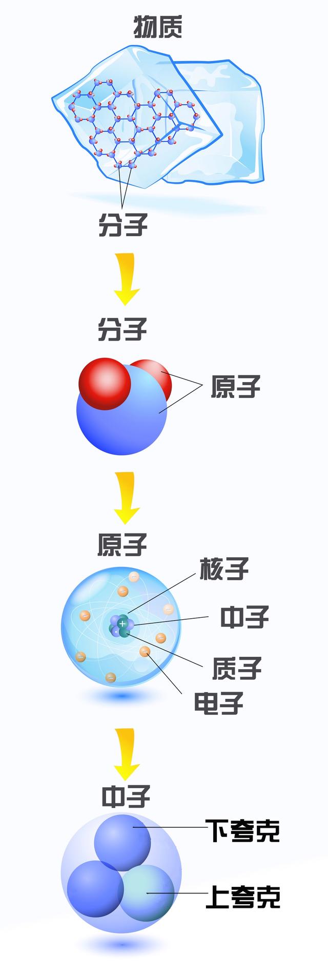 结构,它们是由被称为上夸克和下夸克的微小组分构成的,质子由两个上