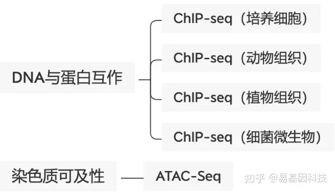 易基因：ChIP-seq等揭示BRWD3调控KDM5活性以维持H3K4甲基化水平的表观机制｜PNAS