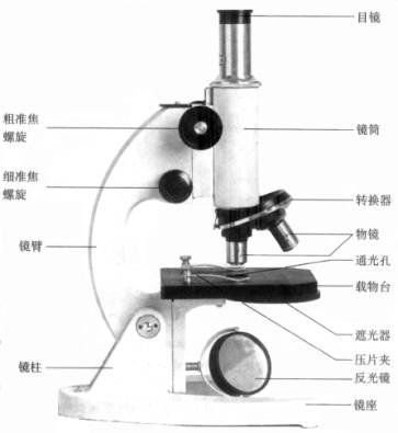 简易显微镜结构图