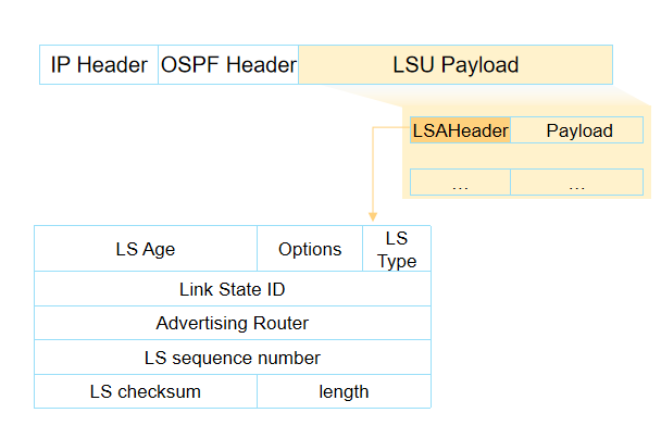 动态路由协议-OSPF与LSA简介