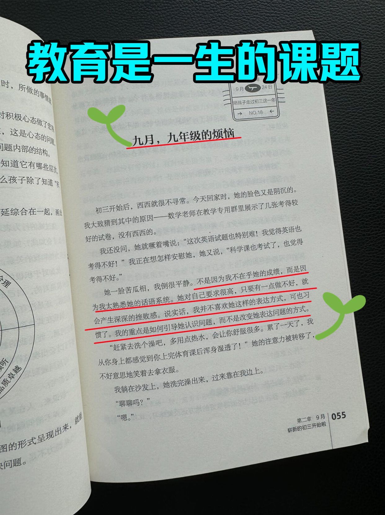2da86b75d927f879fa891e559c019d24.jpeg