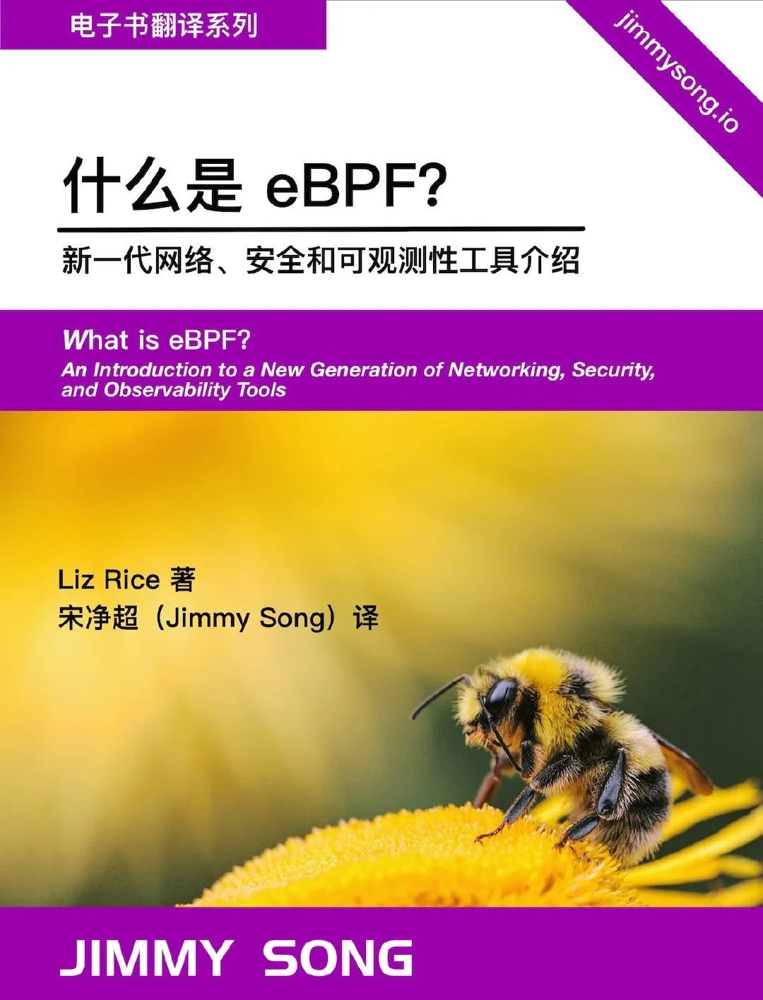 《什么是 eBPF》O'Reilly 报告中文版放送