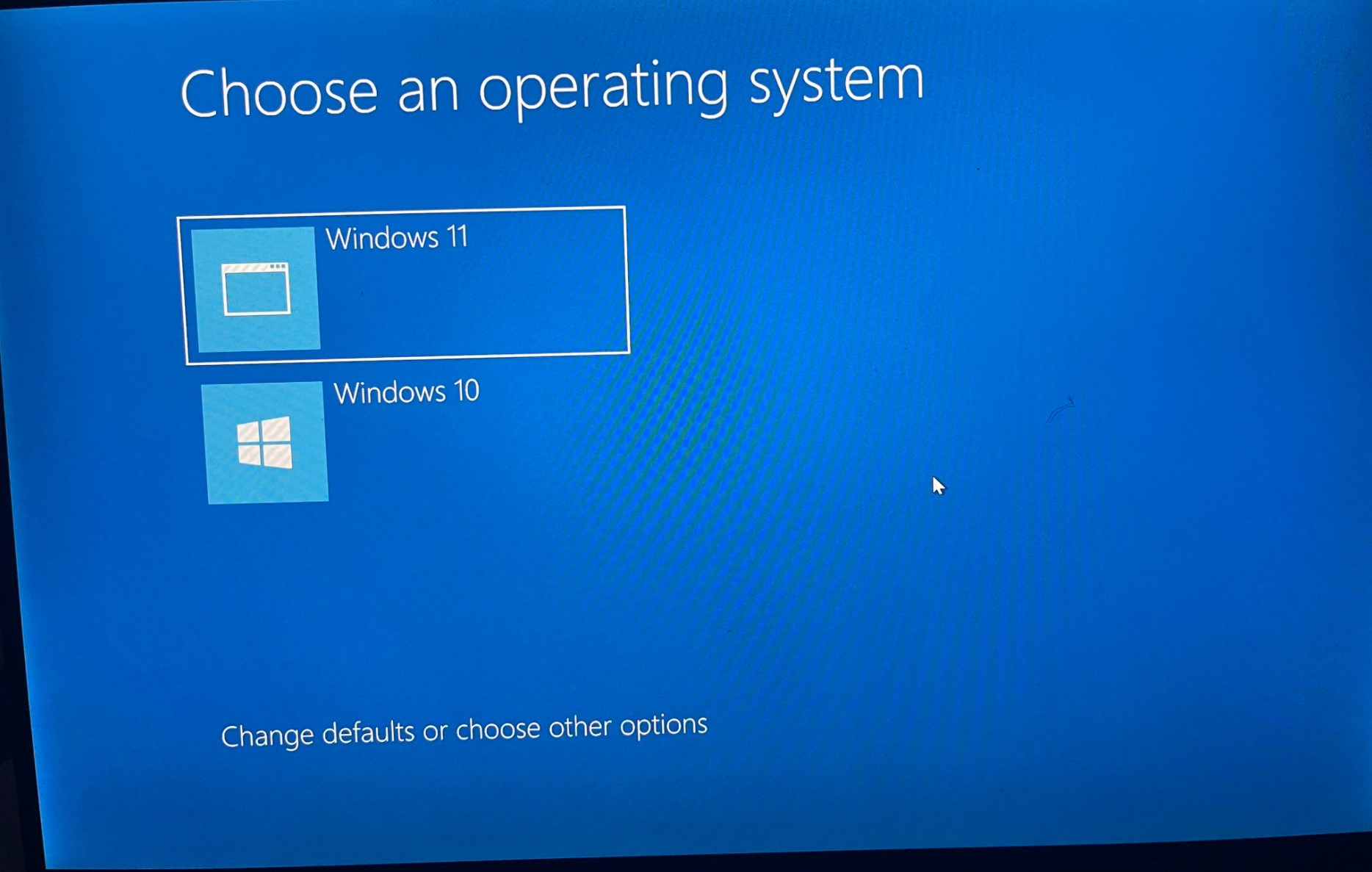 Dual booting Windows.