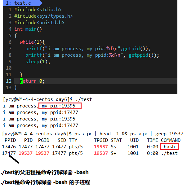image-20220929183205548