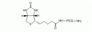 Biotin-PEG-NH2，生物素-聚乙二醇-氨基，Biotin-PEG-Amine