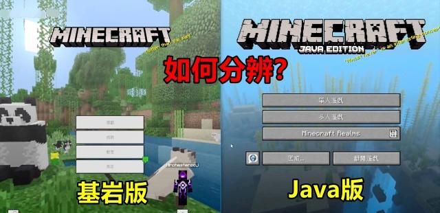 Mc怎么看是基岩版还是java版 我的世界 基岩版和java版如何分辨 Minecraft游戏界面细节对比 体制教科书的博客 Csdn博客