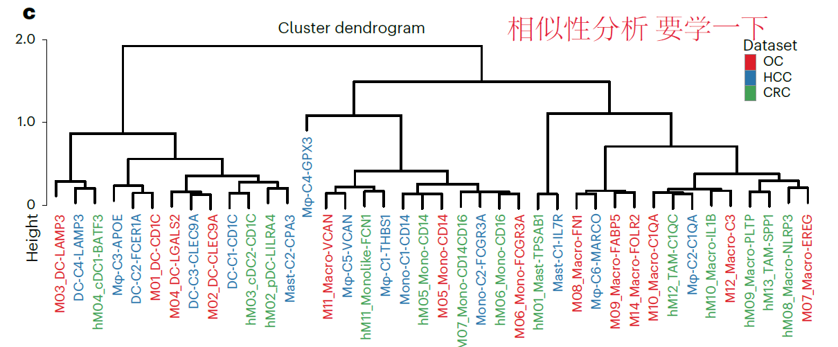 专栏十：10X单细胞的聚类树绘图