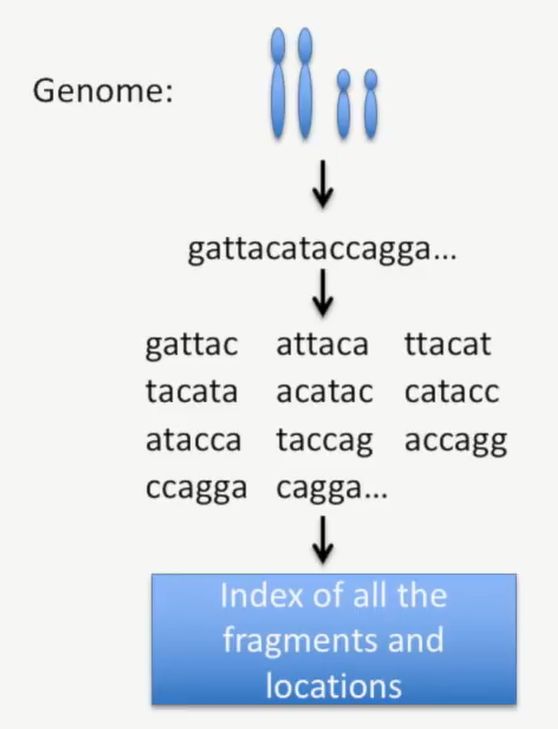 rna-seq主要有三个步骤,分别是第一:建库;第二,测序;第三,数据分析,如