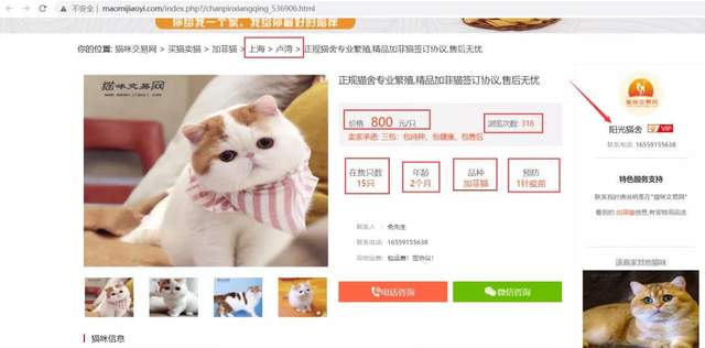 什么品种的猫最受欢迎？Python爬取猫咪网站交易数据[通俗易懂]