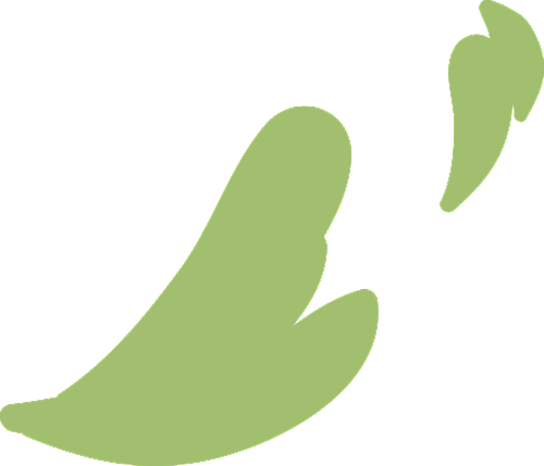 2ec59d400a8d37d39c8fb6bc3b5374fa.png