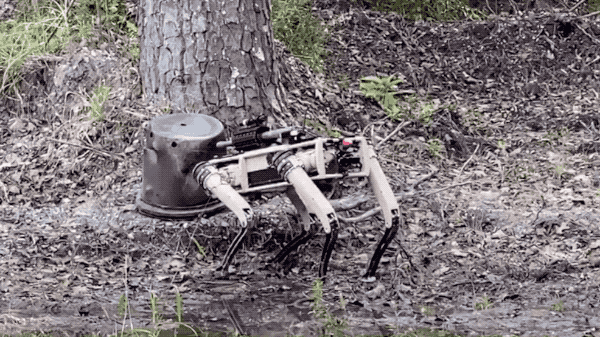 2ecf5f0f322cb452b80b166032c682ad.gif