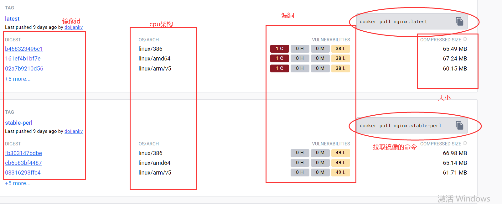 对应版本的拉取命令，镜像大小，id，cpu架构，漏洞
