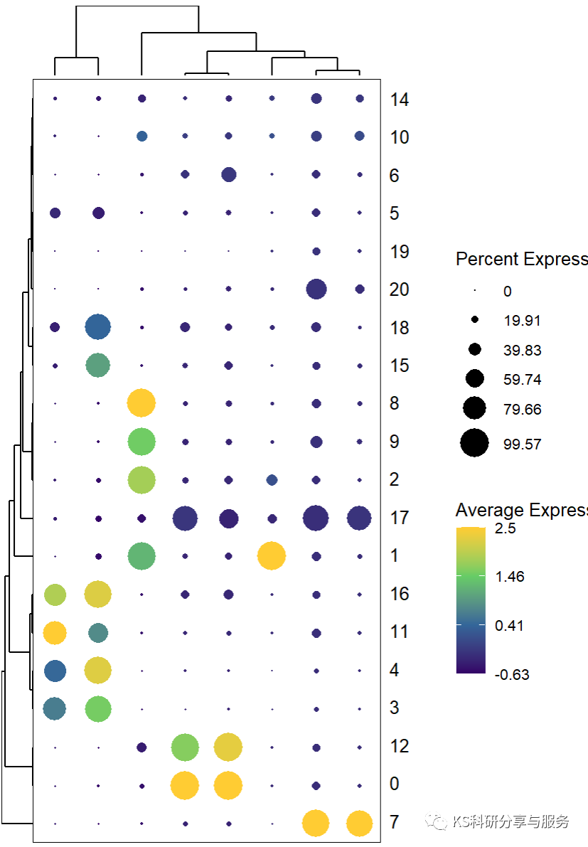单细胞基因个性化作图之气泡图