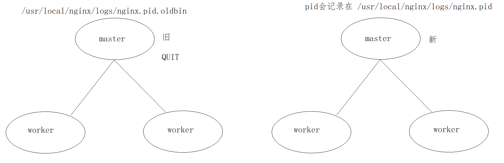 Nginx03-使用