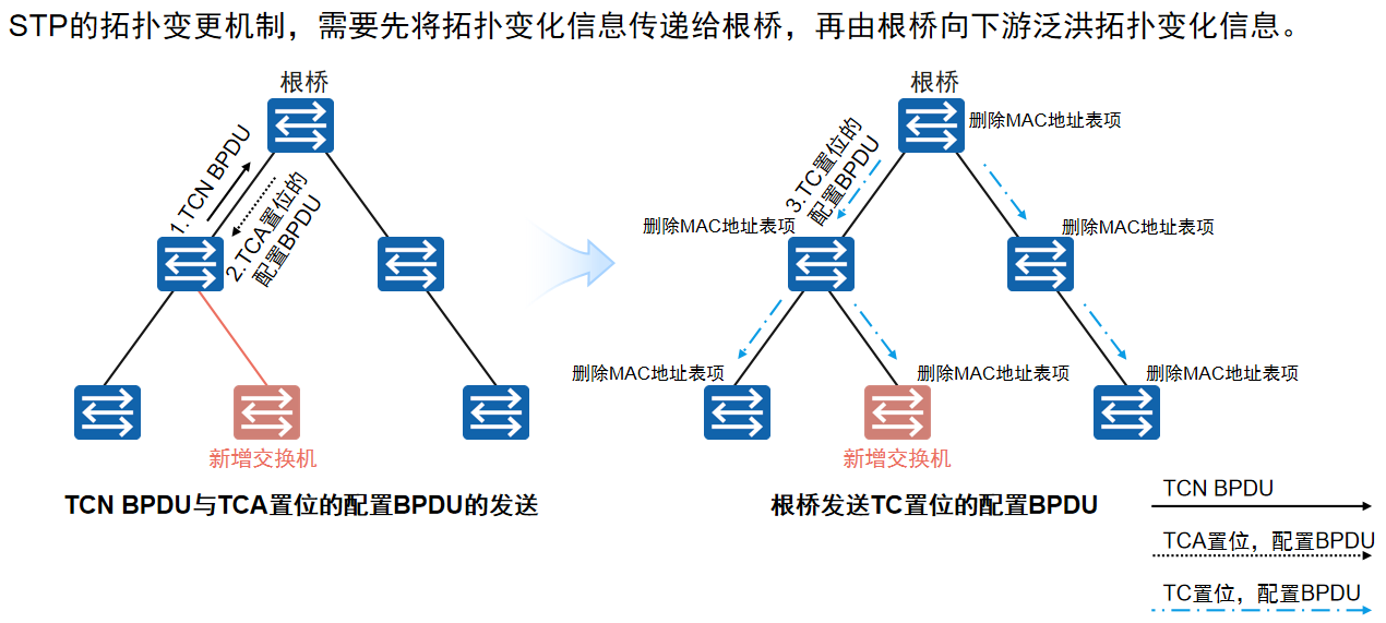 STP拓扑变更机制