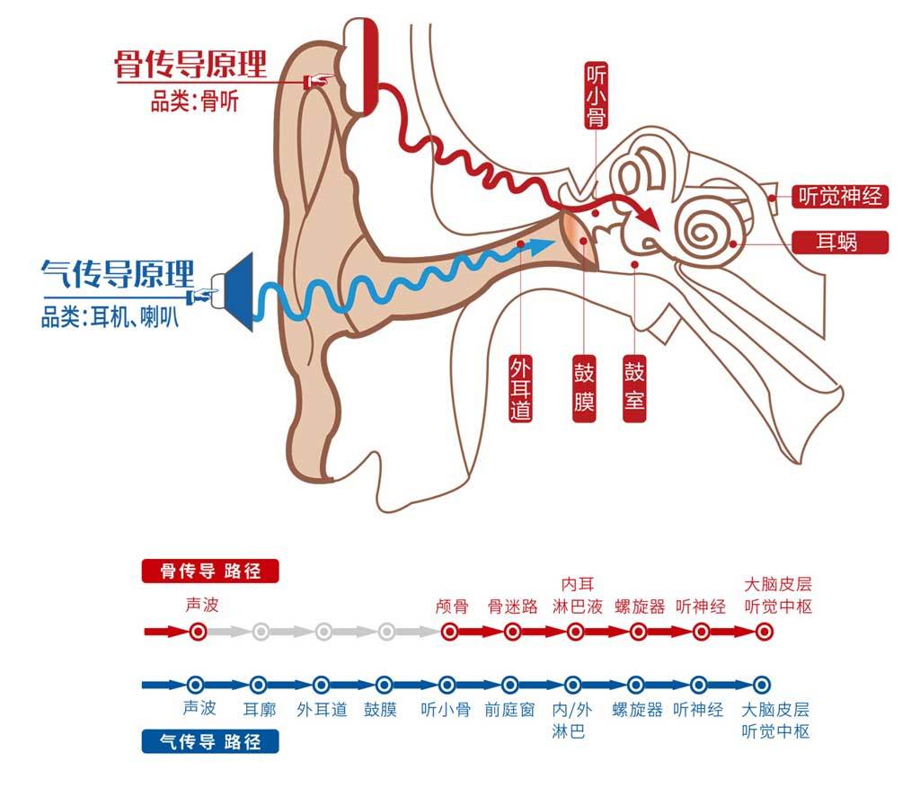 什么是骨传导耳机？骨传导能保护听力吗？