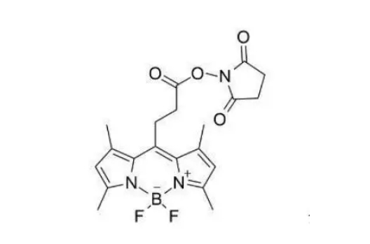 216961-98-7，BODIPY 493/503 NHS 活化酯，可以应用于分子生物学等领域中