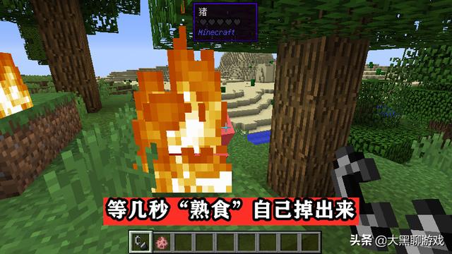 木炭怎么获得 Minecraft获得熟食有五种方法 熔炉火石已out 专用设备已上线 Weixin 的博客 Csdn博客