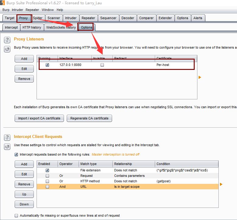 Web 安全工具篇：Burp Suite 使用指南