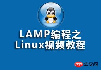 linux视频网站源码,LAMP编程之Linux视频资源（源码课件）推荐